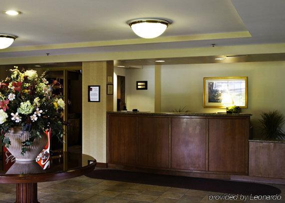 Holiday Inn Baltimore BWI Airport, An Ihg Hotel Linthicum Interior photo